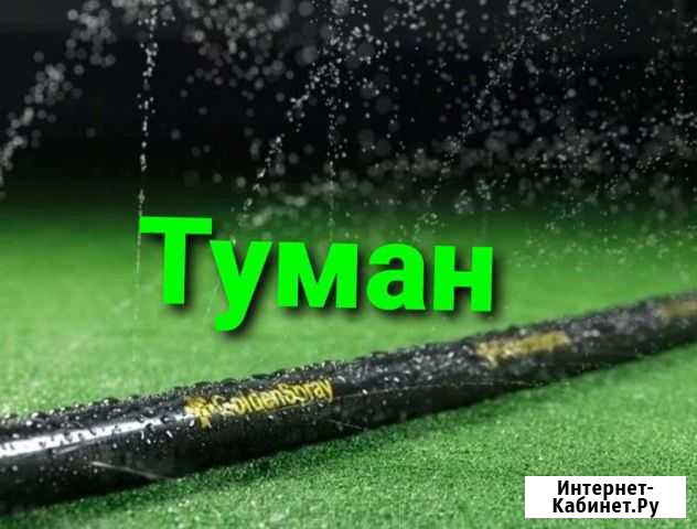 Туман. Внекорневой полив Короча - изображение 1