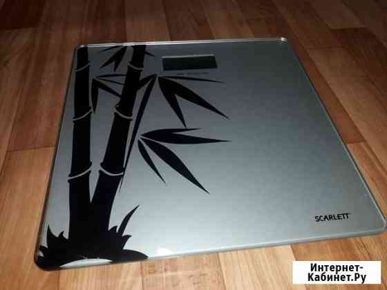 Весы напольные Тамбов