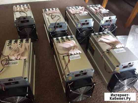 Antminer l3 Курск