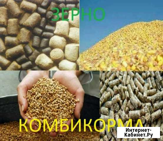 Зерно отруби комбикорма Клинцы - изображение 1
