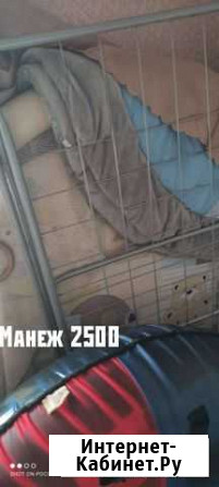 Манеж детский Великий Новгород - изображение 1