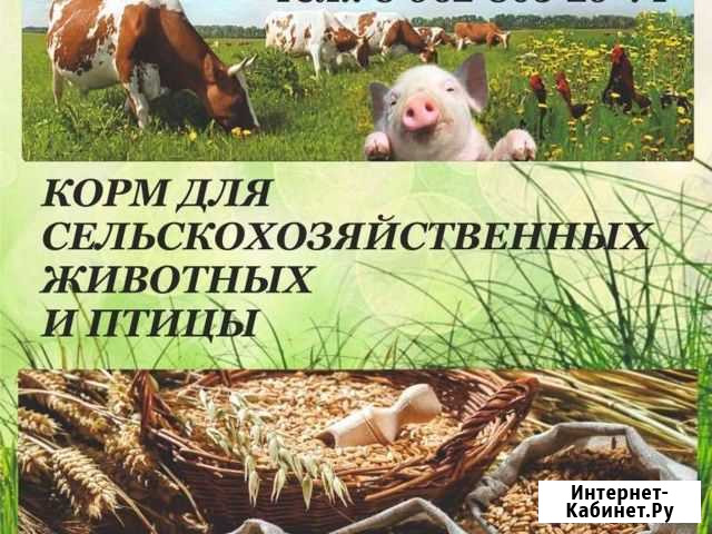 Комбикорма, зерно в наличии, бесплатная доставка Усть-Кут - изображение 1