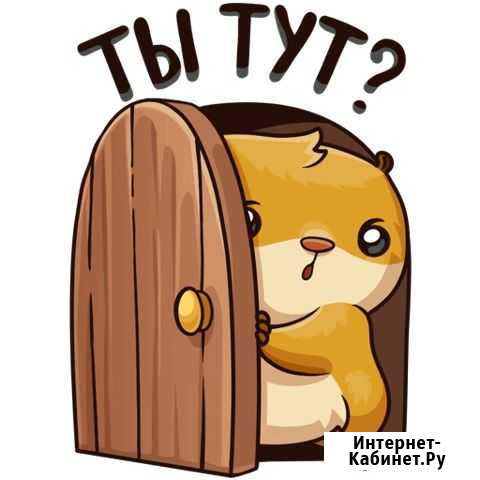 Домашняя передержка мелких животных, у меня дома Москва - изображение 1