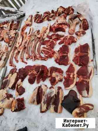 Продам мясо конина Омск