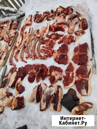 Продам мясо конина Омск - изображение 1