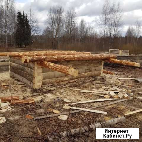 Бюджетные срубы для бани из осины Опочка - изображение 1