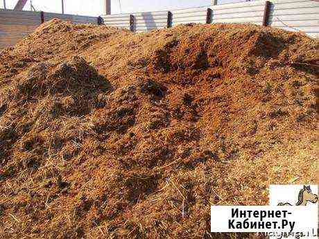 Перегной Омск