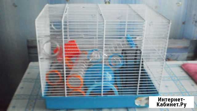 Продам клетку для грызунов Полысаево - изображение 1