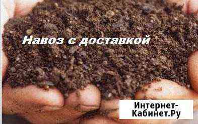 Перегной с доставкой в мешках и самосвалом Тамбов