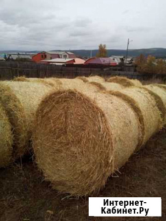 Солома Свирск - изображение 1