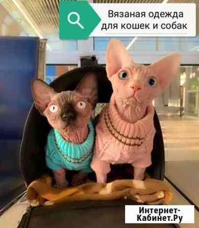 Вязаная одежда для животных Прохладный