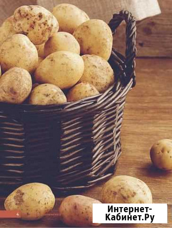 Продам картофель Уссурийск - изображение 1