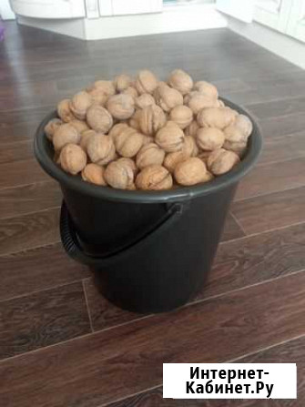 Грецкий орех Псков - изображение 1