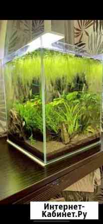 Аквариум кубик aquael 30л Челябинск