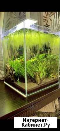 Аквариум кубик aquael 30л Челябинск - изображение 1