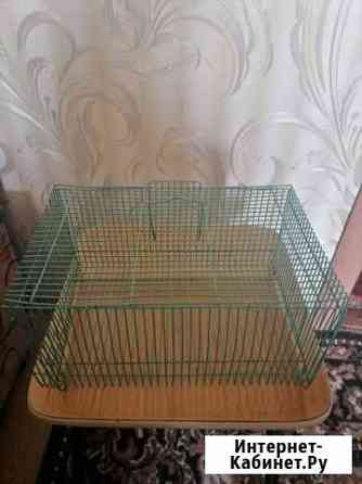 Клетка переноска Набережные Челны