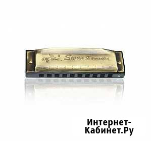 SW1020 Губная гармошка Ставрополь - изображение 1