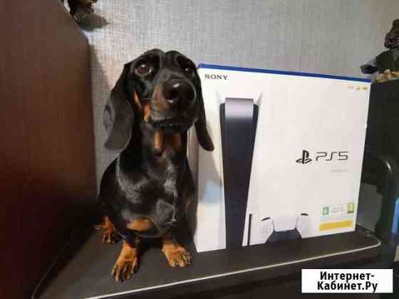 Sony Playstation 5 Архангельск