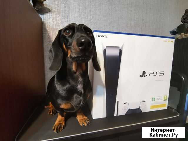 Sony Playstation 5 Архангельск - изображение 1
