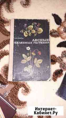Лесные целебные растения Калуга