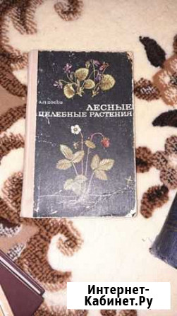 Лесные целебные растения Калуга - изображение 1