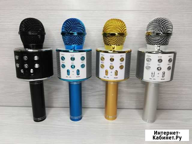 Bluetooth караоке микрофон WS-858 Новосибирск - изображение 1