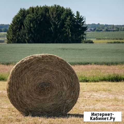 Сено в тюках Болохово - изображение 1