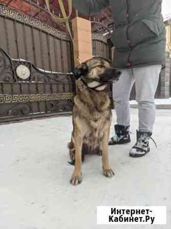 Марта подросток 10 месяцев Пермь