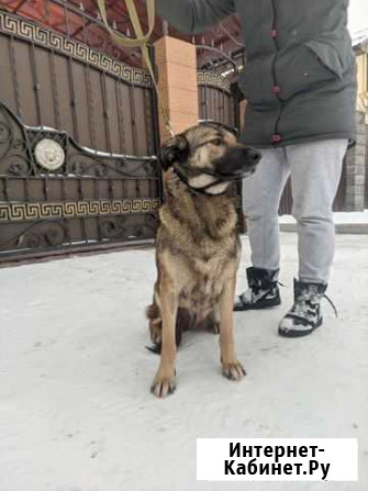 Марта подросток 10 месяцев Пермь - изображение 1