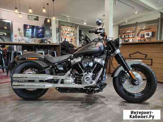 Softail Slim 2021 Harley-Davidson River Rock Gray Казань