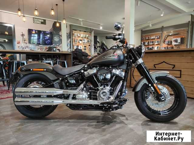 Softail Slim 2021 Harley-Davidson River Rock Gray Казань - изображение 1