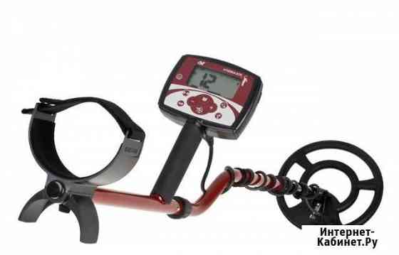 Mеталлоискатель Minelab X-terra 305 Луга