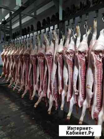 Подсвинки второй категории 20 кг Екатеринбург