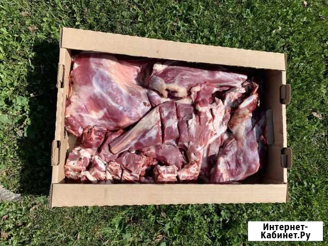 Мясо баранины домашнее Наро-Фоминск - изображение 1