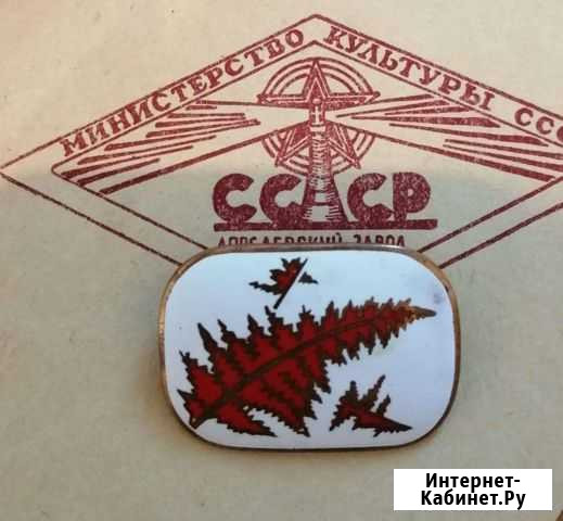 Брошь СССР Папоротник Елизово - изображение 1