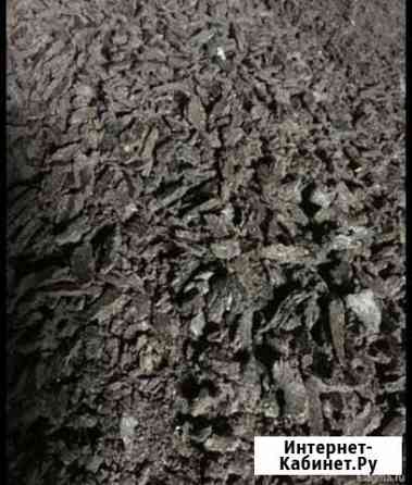 Жмых подсолнечника Красноярск