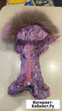 Комбинезон для маленькой собаки Мурманск