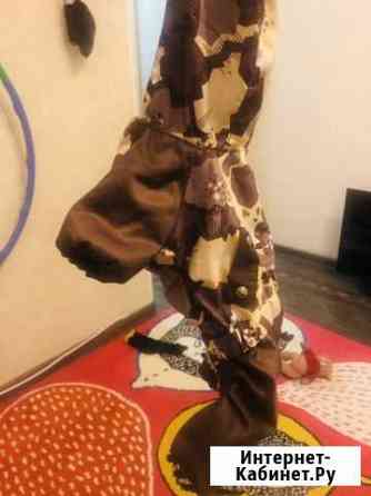 Курточка для маленькой Собачки Екатеринбург