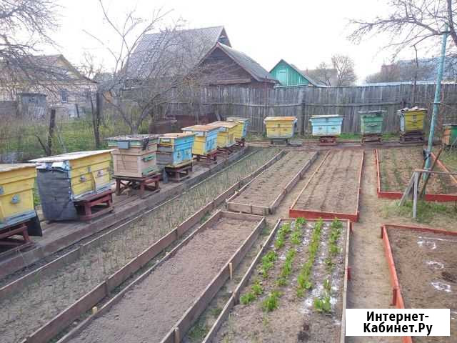 Ульи для пчел Малоярославец - изображение 1