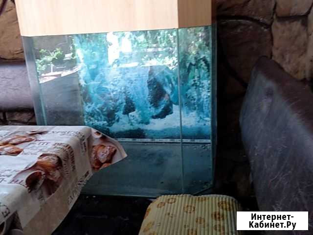 Аквариум Новочеркасск - изображение 1