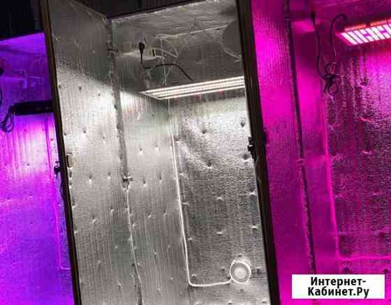 Гроубокс Опт Flasher, днат, Led Кузнецк