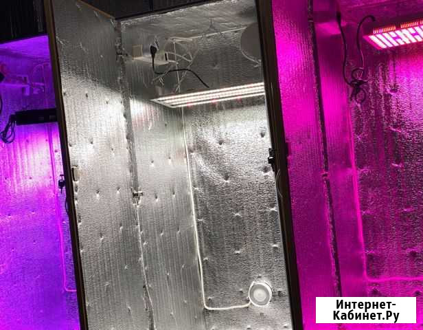 Гроубокс Опт Flasher, днат, Led Кузнецк - изображение 1