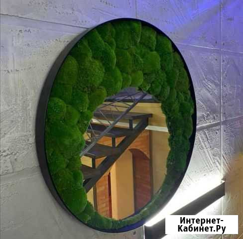 Мох стабилизированный ягель панно круг кочки Новосибирск - изображение 1