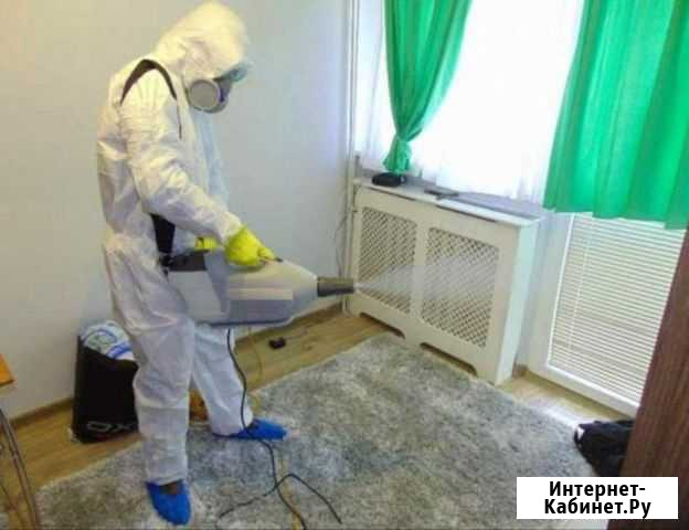 Уничтожение клопов, тараканов и грызунов в Ижевске Ижевск - изображение 1
