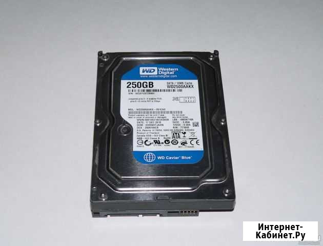 Жёсткий диск 250гб 3.5 WD2500aakx Владимир - изображение 1