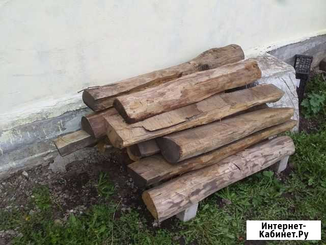 Дуб Ряжск - изображение 1