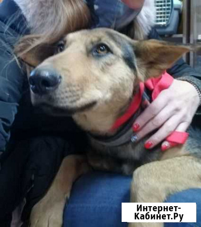 Джина 1 годик Омск - изображение 1