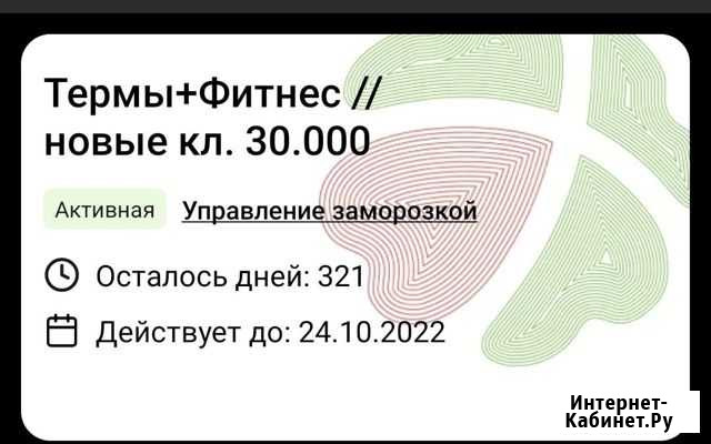 Абонемент в Клевер термальные источники и тренажёр Набережные Челны - изображение 1