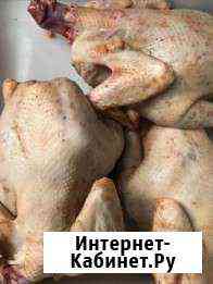 Куриное мясо домашнее Короча