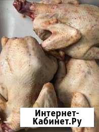 Куриное мясо домашнее Короча - изображение 1